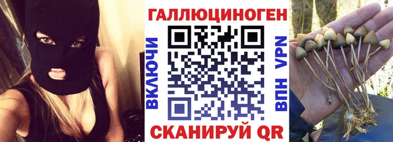 гидра ССЫЛКА  Пенза  Псилоцибиновые грибы мицелий  купить наркотики сайты 